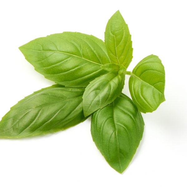 Photo showing basil leaf