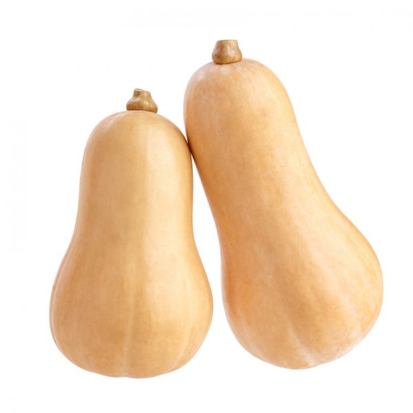 Photo showing butternut