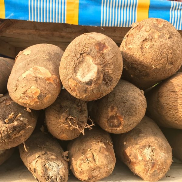 Photo showing tubers of yam
