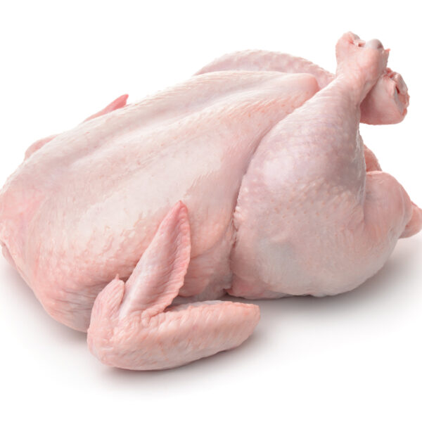 difference between broilers and layers