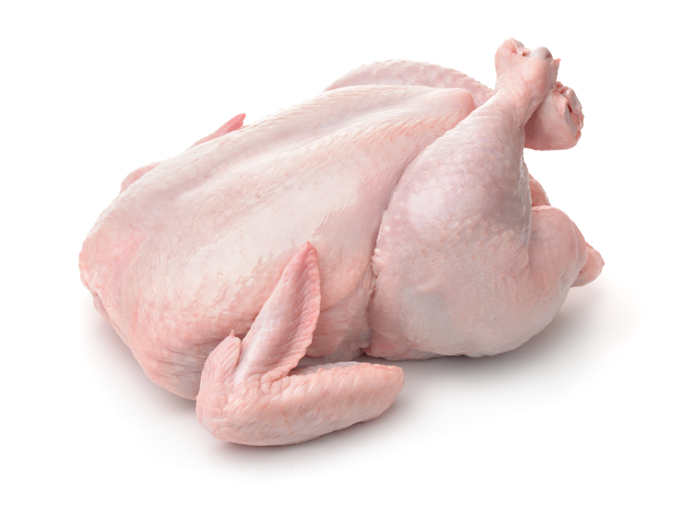 difference between broilers and layers