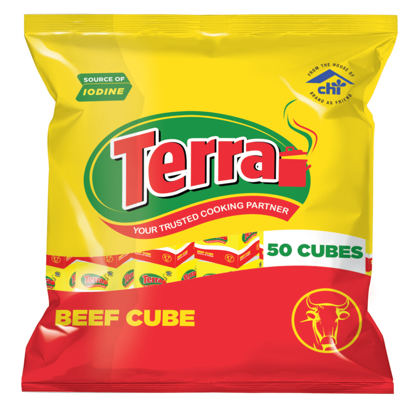 Terra seasoning cubes beef 40 cubes