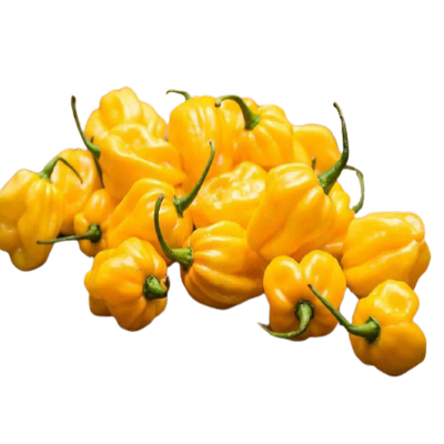 Yellow pepper (1kilo)